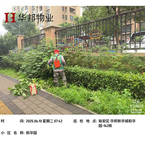 工程案例