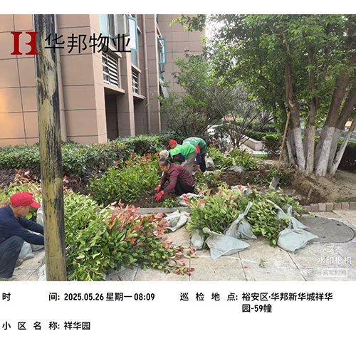 工程案例